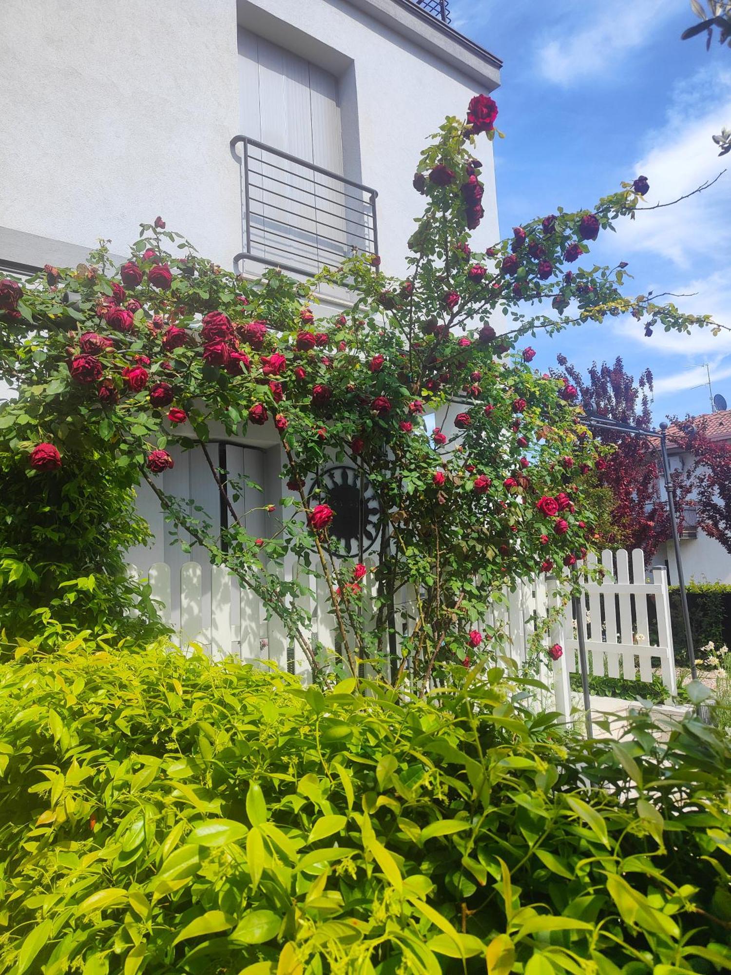 Villa Marianna Garda Lake Peschiera del Garda Buitenkant foto